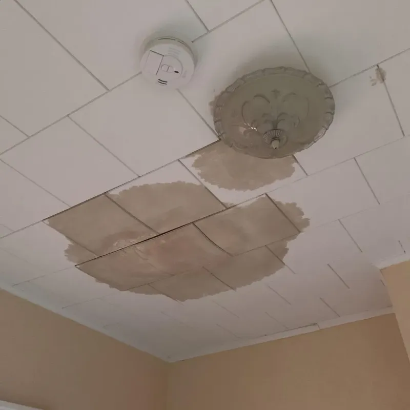 Ceiling Water Damage Repair in Orangeburg, NY